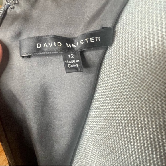 David Meister Silk Long Sleeve Knee Length Midi Dress Gray Snake Womens Size 12 - Picture 6 of 9